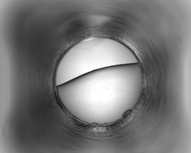 X0000093770353200710160901