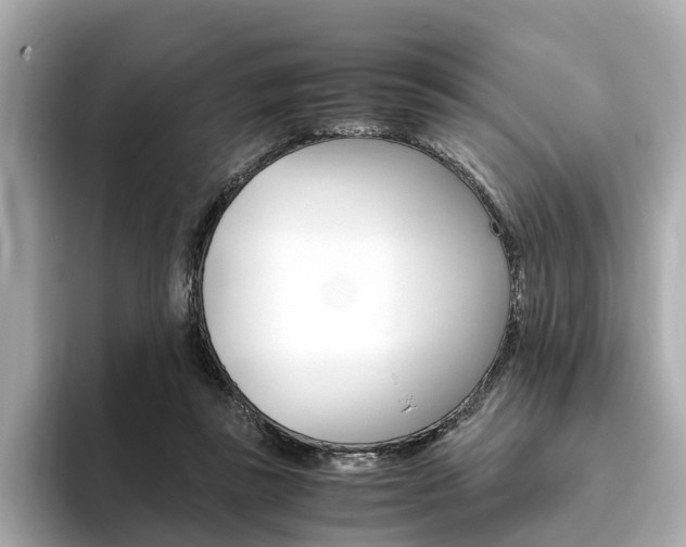 X0000093770355200710160901