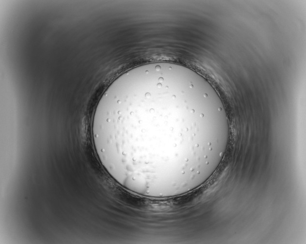 X0000093770359200710160901