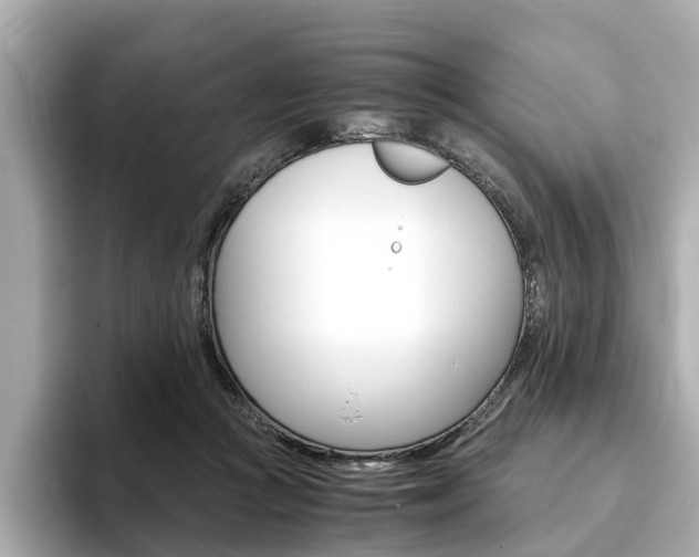 X0000093770361200710160901