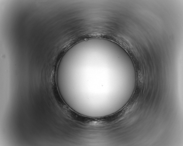 X0000093770364200710160901