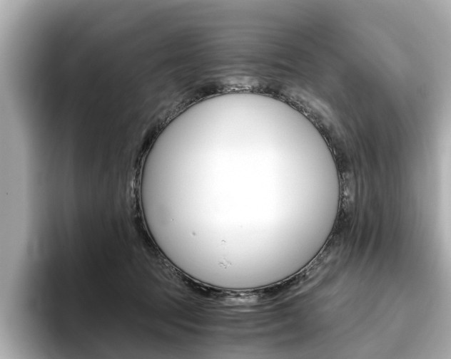 X0000093770369200710160901