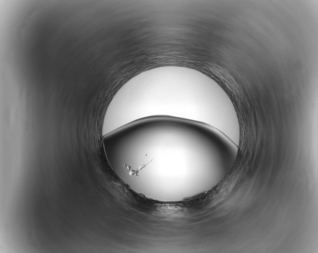 X0000093770380200710160901