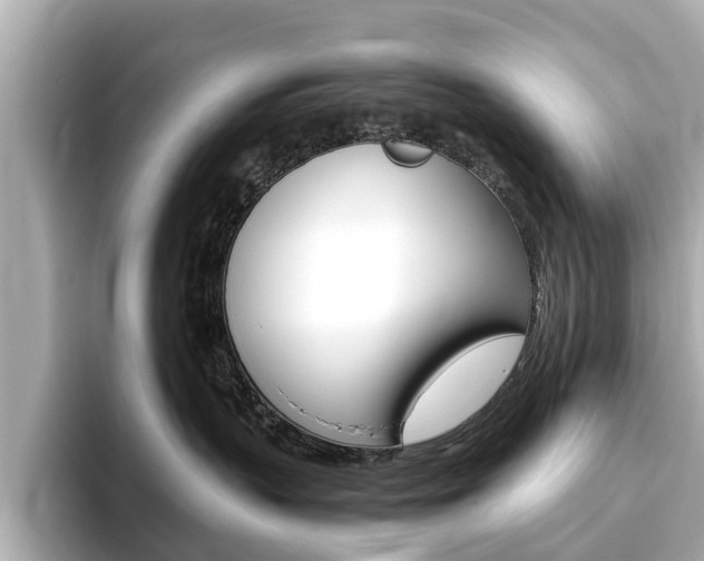 X0000093770383200710160901