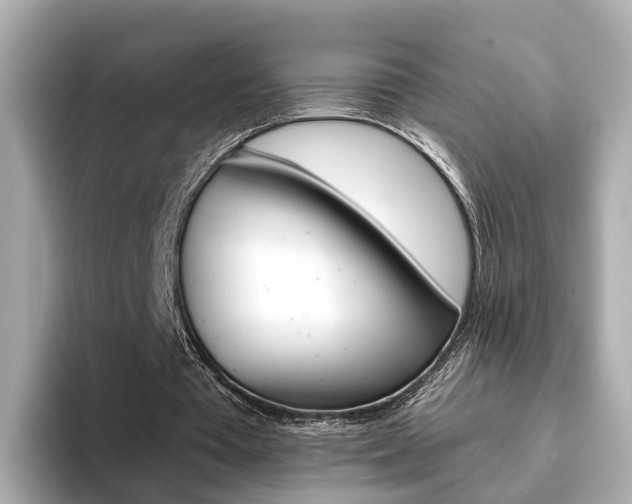 X0000093770385200710160901