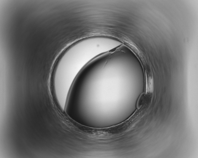 X0000093770387200710160901