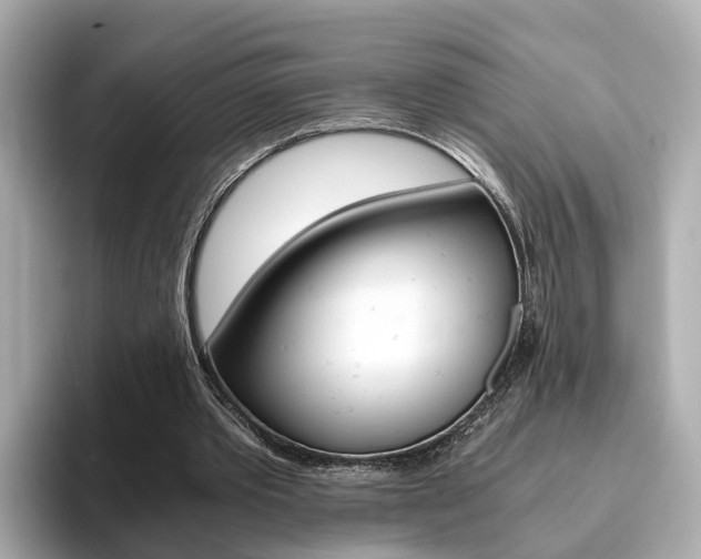 X0000093770389200710160901