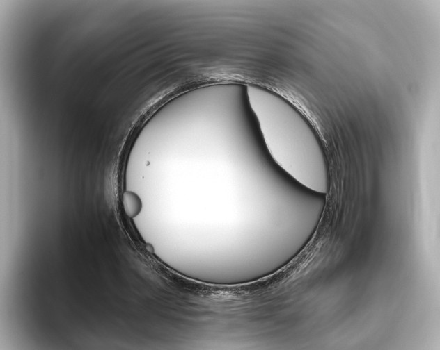 X0000093770390200710160901