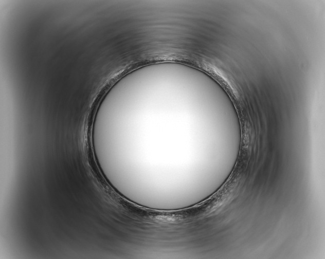 X0000093770394200710160900