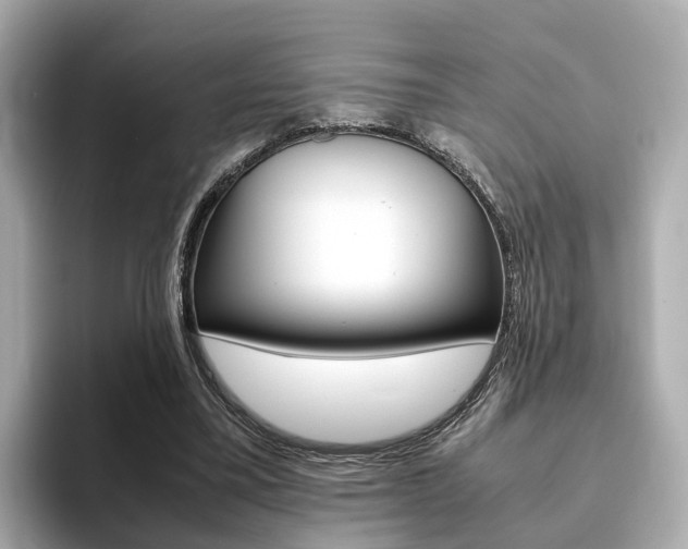 X0000093770395200710160900