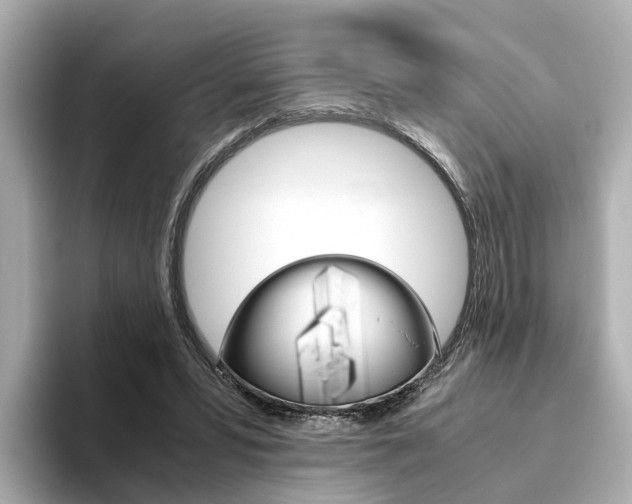 X0000093770399200710160900