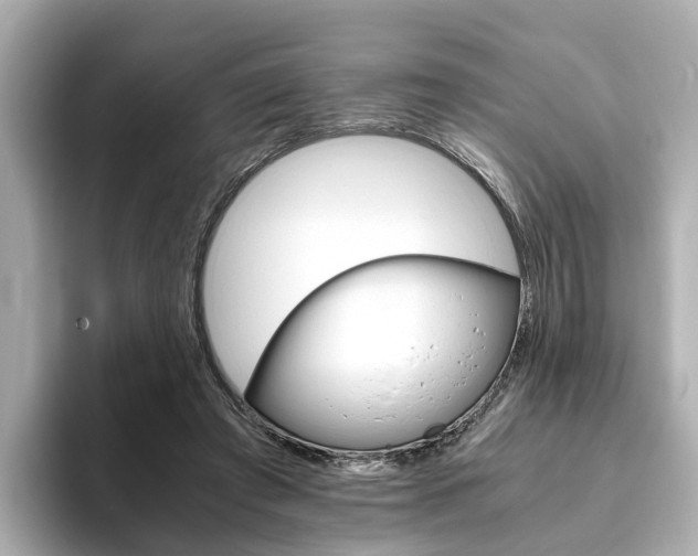 X0000093770401200710160900