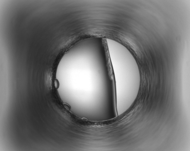 X0000093770404200710160900
