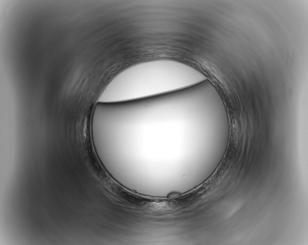 X0000093770406200710160900