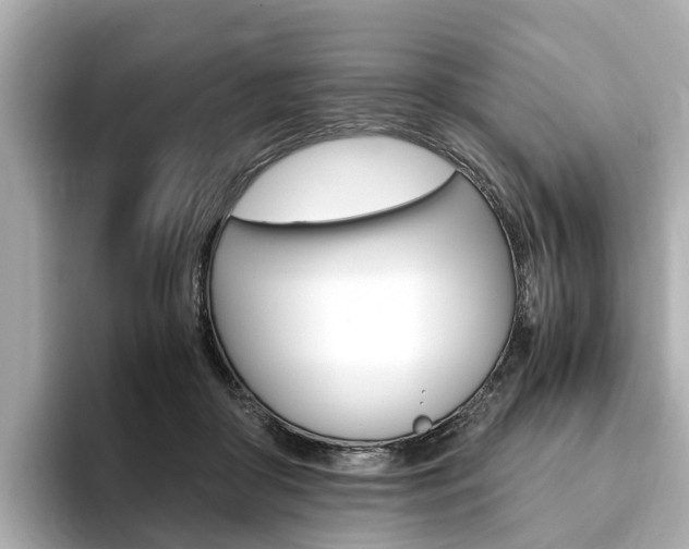 X0000093770410200710160900