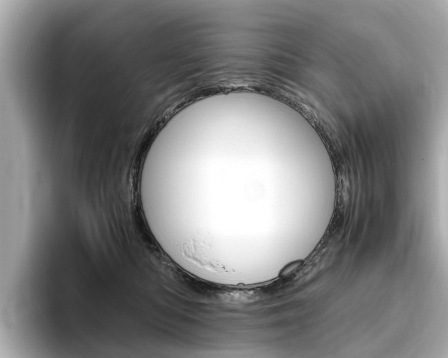 X0000093770422200710160900
