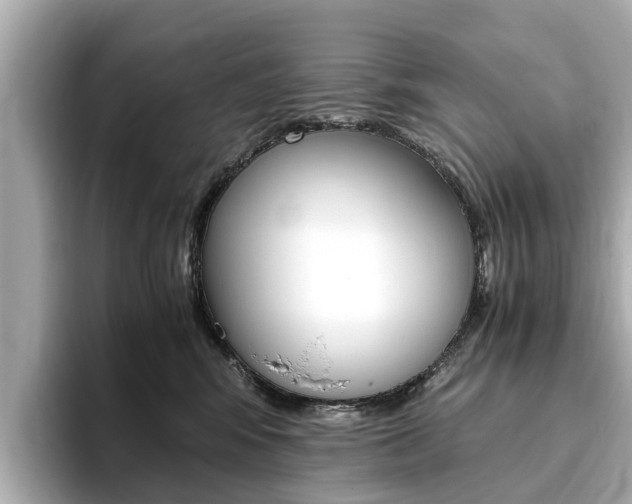 X0000093770424200710160900