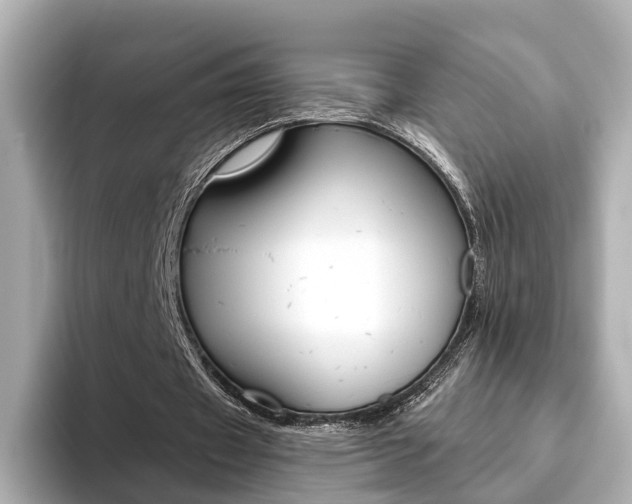 X0000093770433200710160859