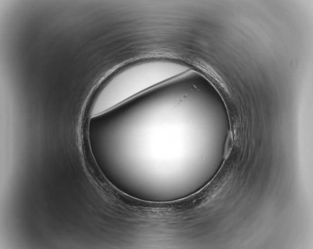 X0000093770436200710160859