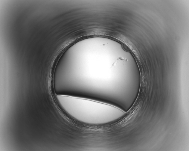 X0000093770437200710160859