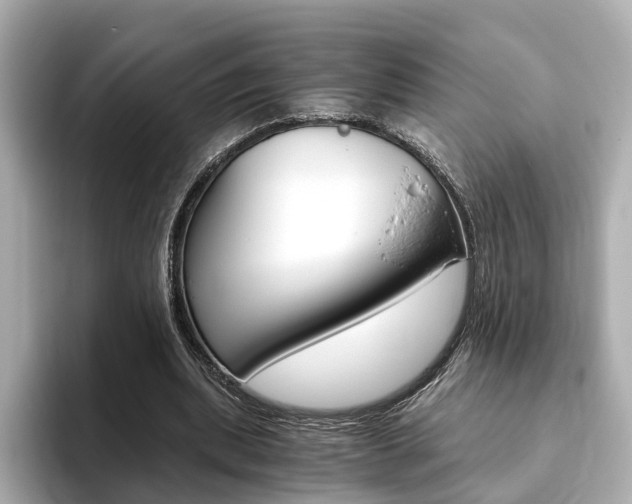 X0000093770439200710160859