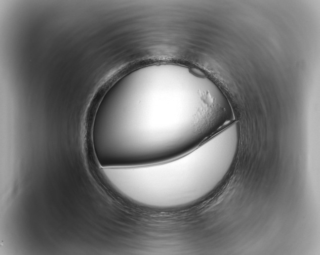 X0000093770440200710160859
