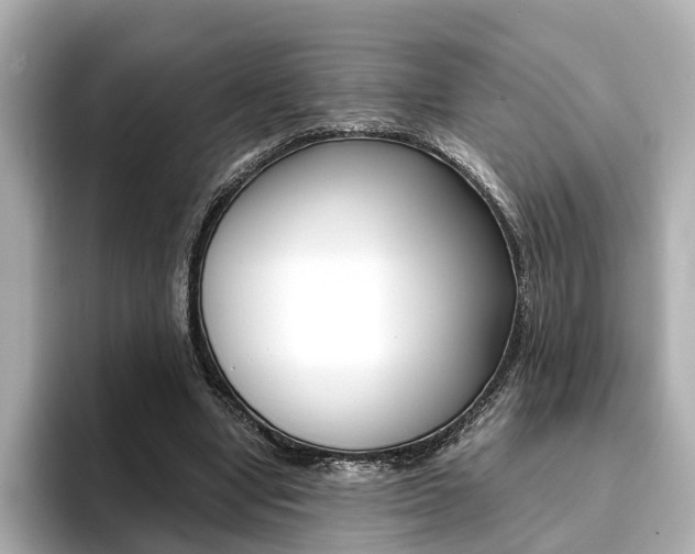 X0000093770442200710160859