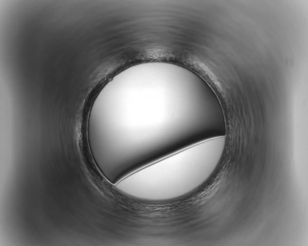X0000093770443200710160859