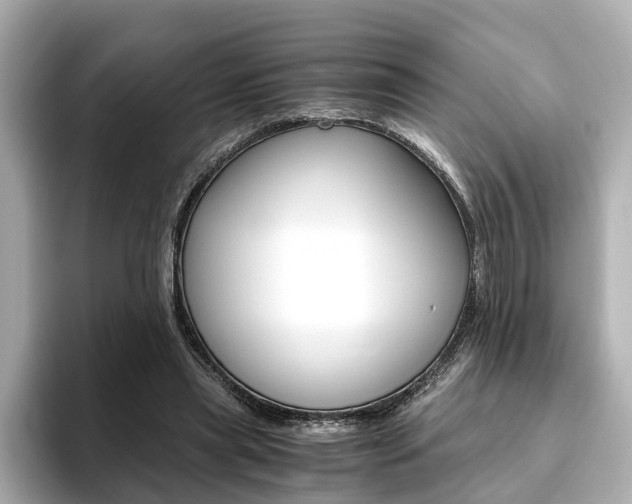 X0000093770445200710160859