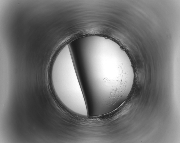 X0000093770446200710160900