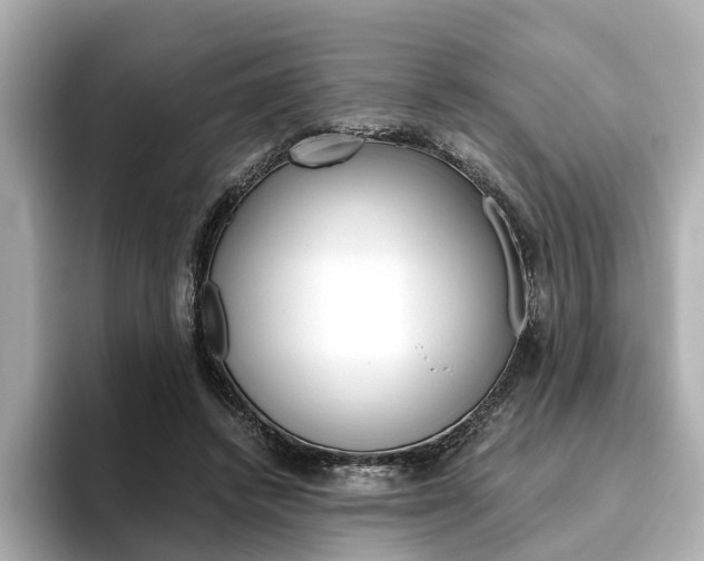 X0000093770448200710160900