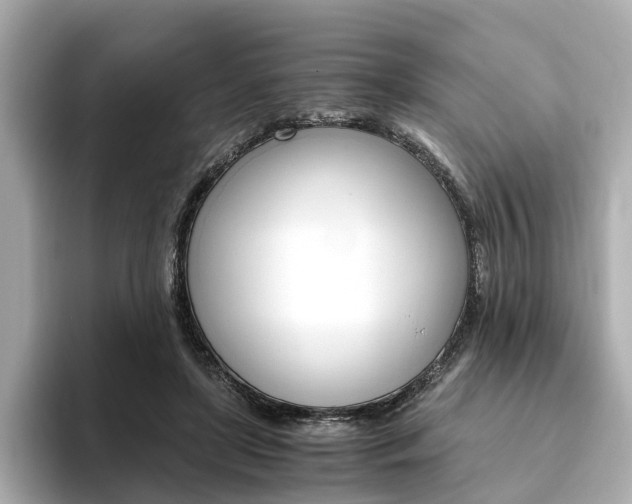 X0000093770451200710160900