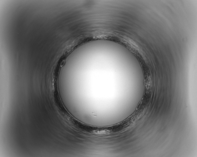 X0000093770452200710160900