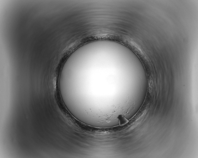 X0000093770454200710160900