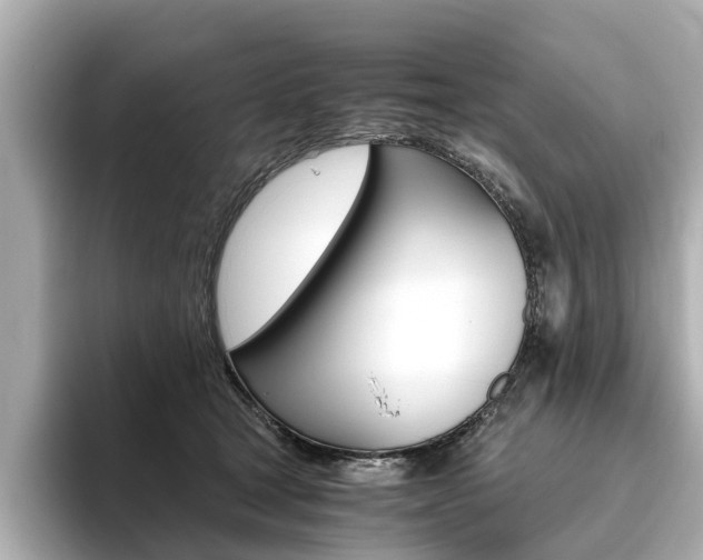 X0000093770465200710160900