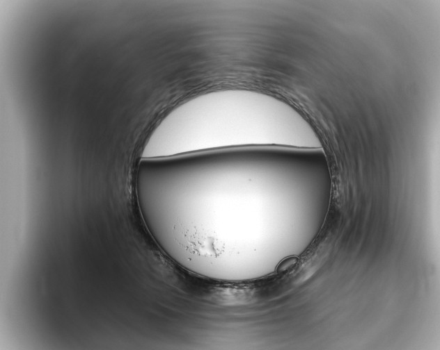 X0000093770466200710160900