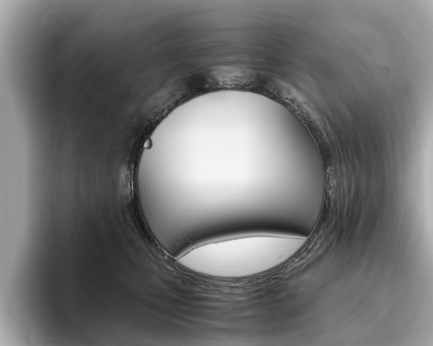 X0000093770471200710160900