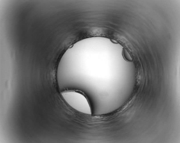 X0000093770473200710160900