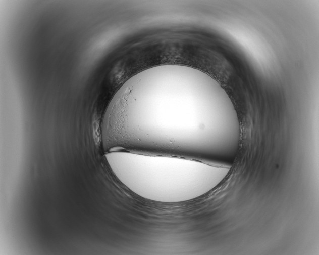 X0000093770479200710160900