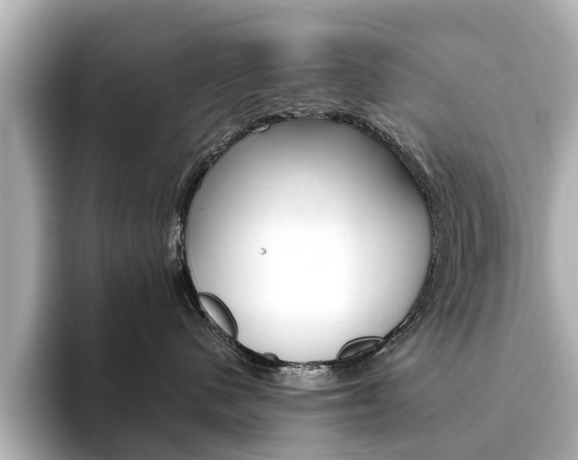 X0000093770480200710160900