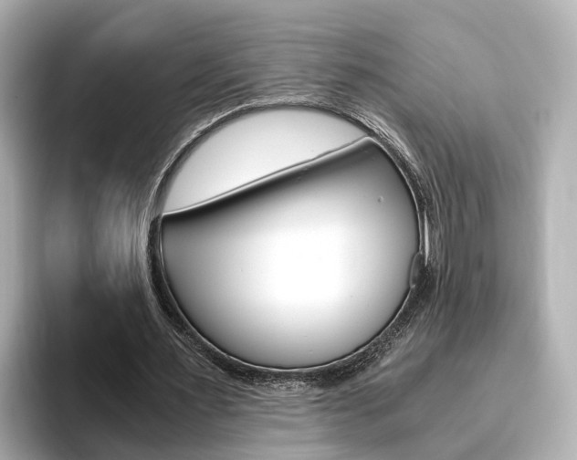 X0000093770483200710160859