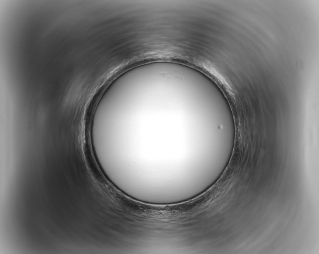 X0000093770486200710160859
