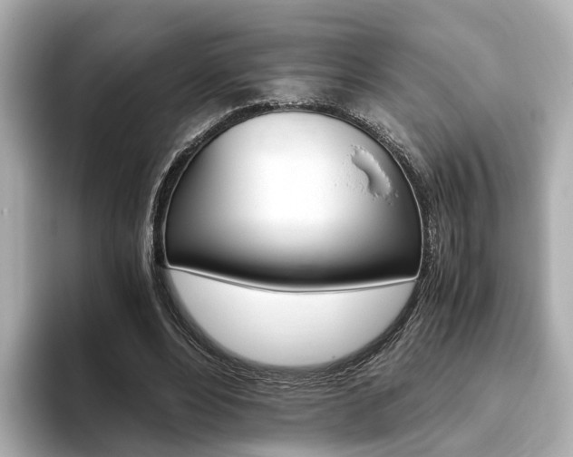 X0000093770488200710160859