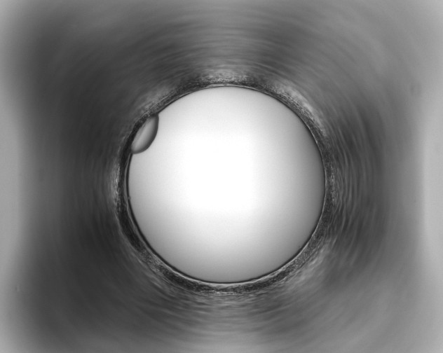 X0000093770490200710160859