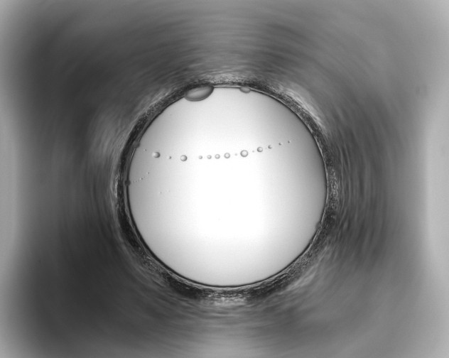 X0000093770491200710160859