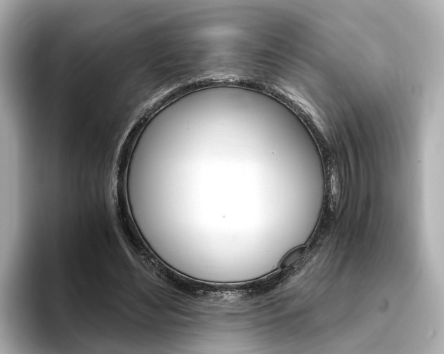X0000093770492200710160859