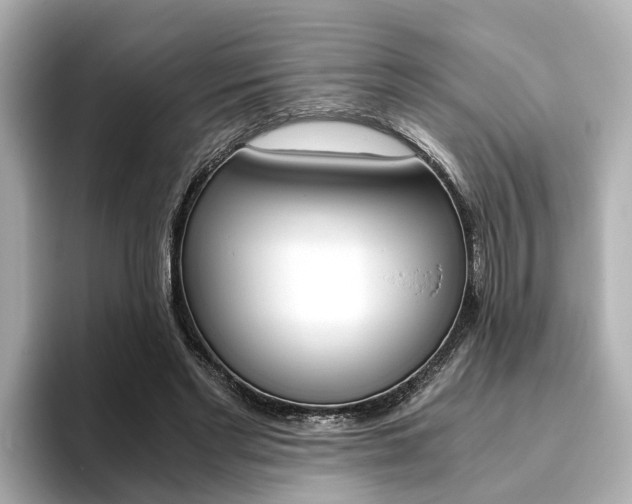 X0000093770493200710160859