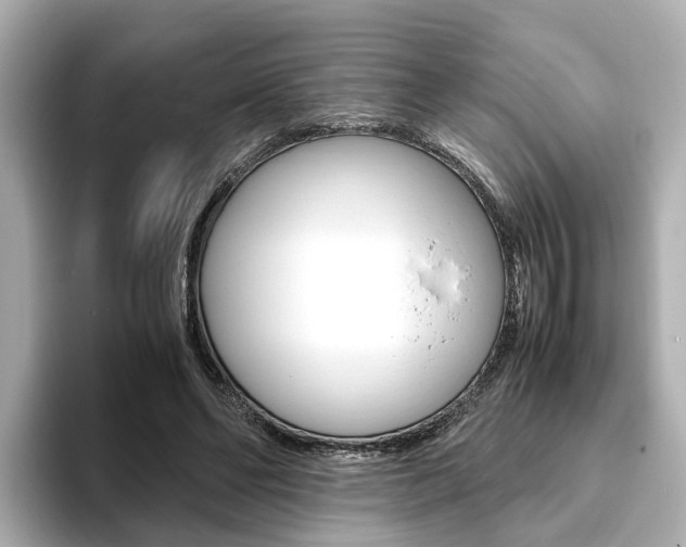 X0000093770494200710160859