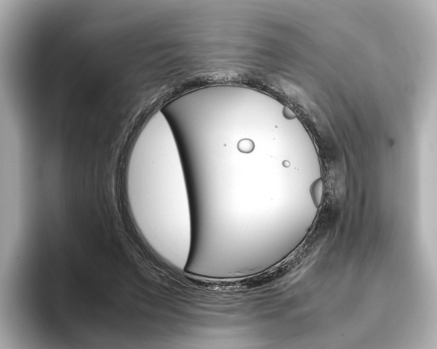 X0000093770495200710160859