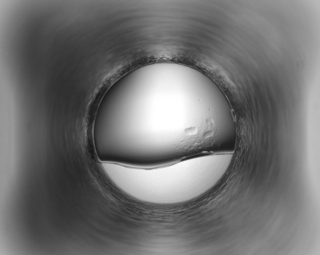 X0000093770496200710160859